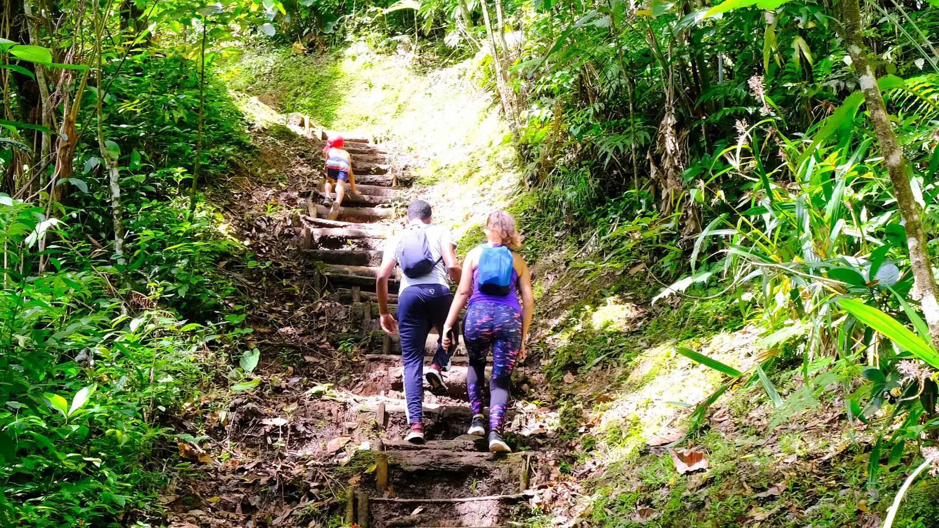 Hiking Absalon Fort-de-France Martinique