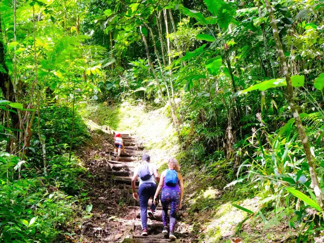 Randonnée Absalon Fort-de-France Martinique