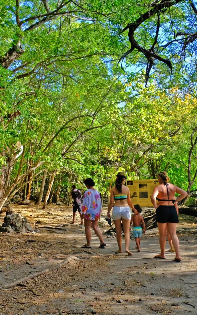 Visite de l'Îlet Chancel Robert Martinique