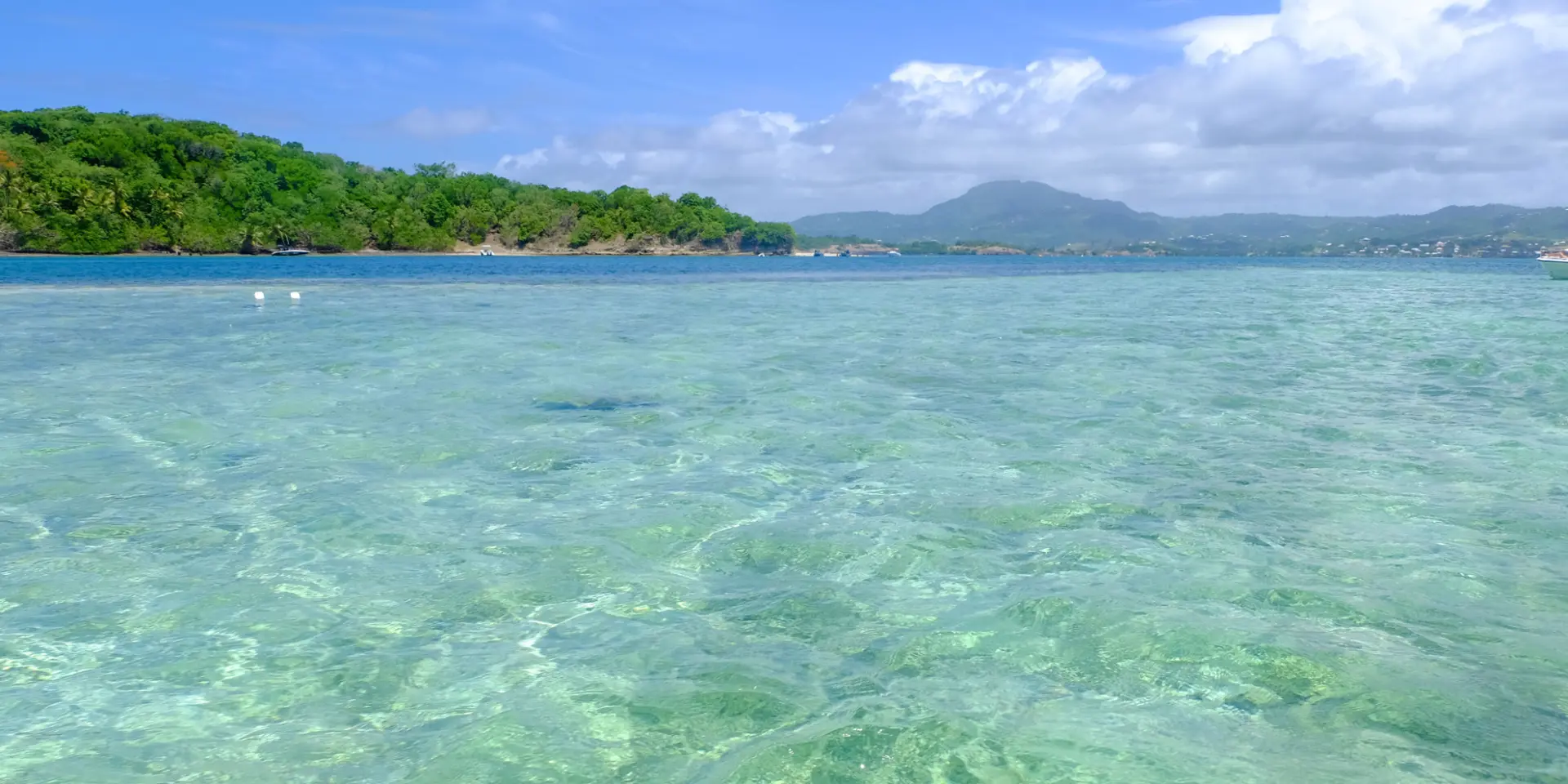 Josephine's bathtub Fonds blancs François Martinique