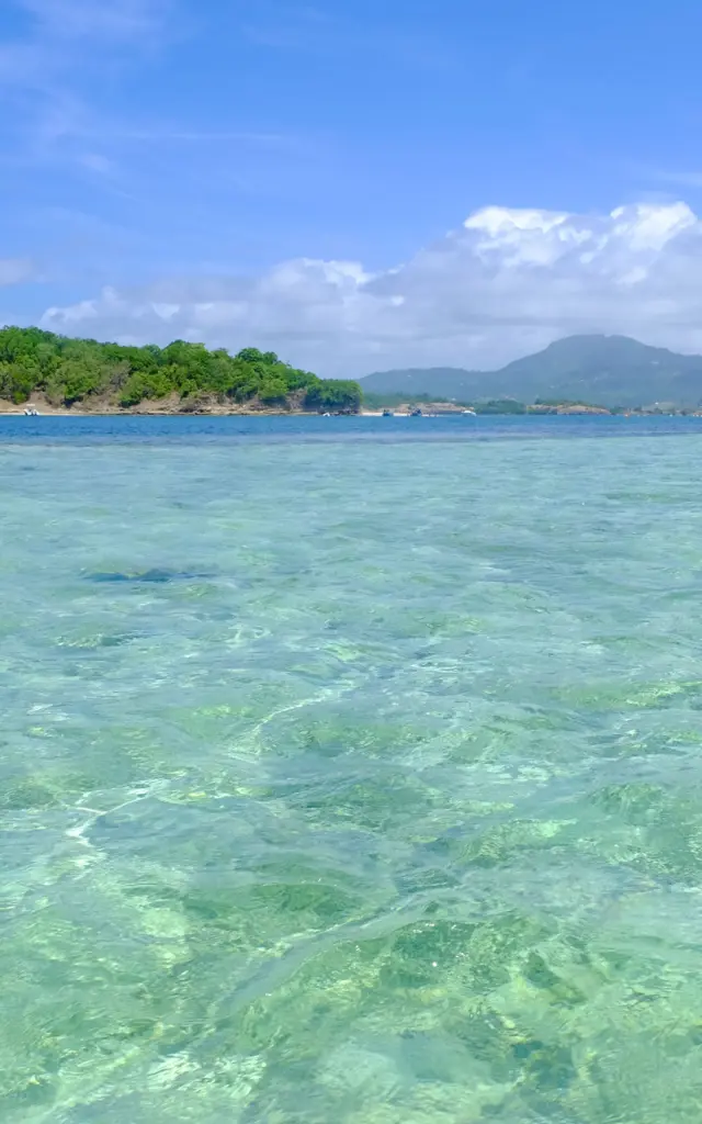 Josephine's bathtub Fonds blancs François Martinique