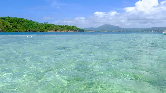Josephine's bathtub Fonds blancs François Martinique