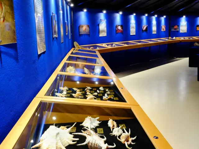 Museum of the sea Trois-Ilets Martinique