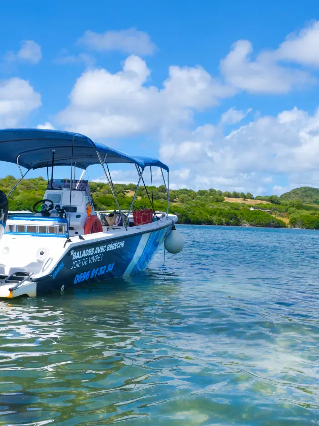 Boat Bebeche Sainte-Anne Martinique