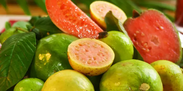 Guava Exotic Fruit Matinic