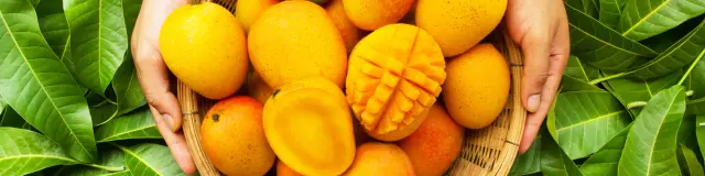 Mango Exotic Fruit Matinic