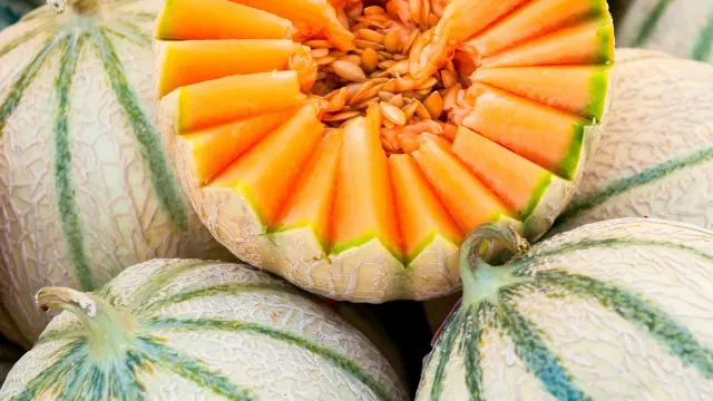 Melon Exotic Fruit Martinique