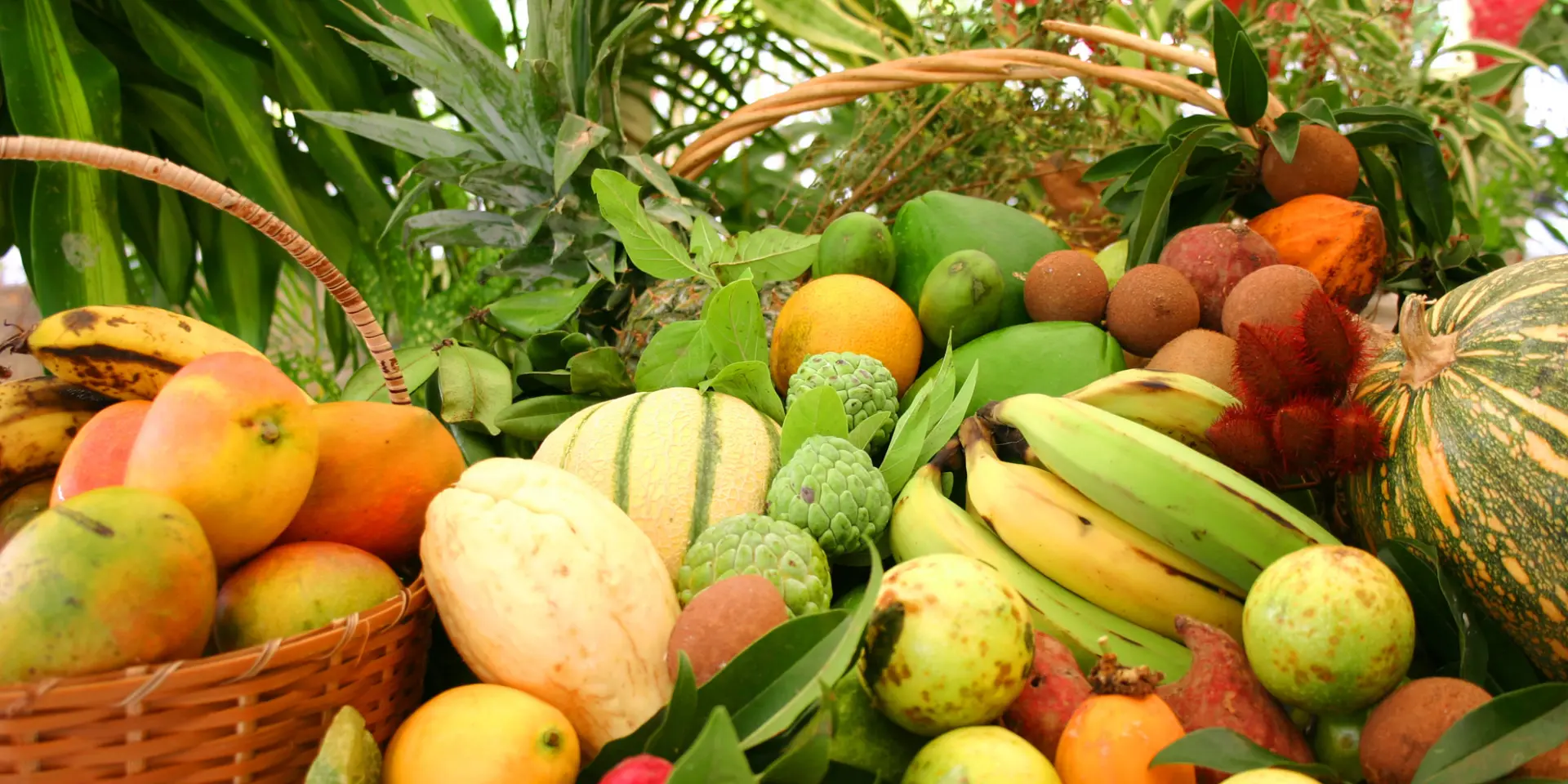 Mixed exotic fruit Antilles Martinique