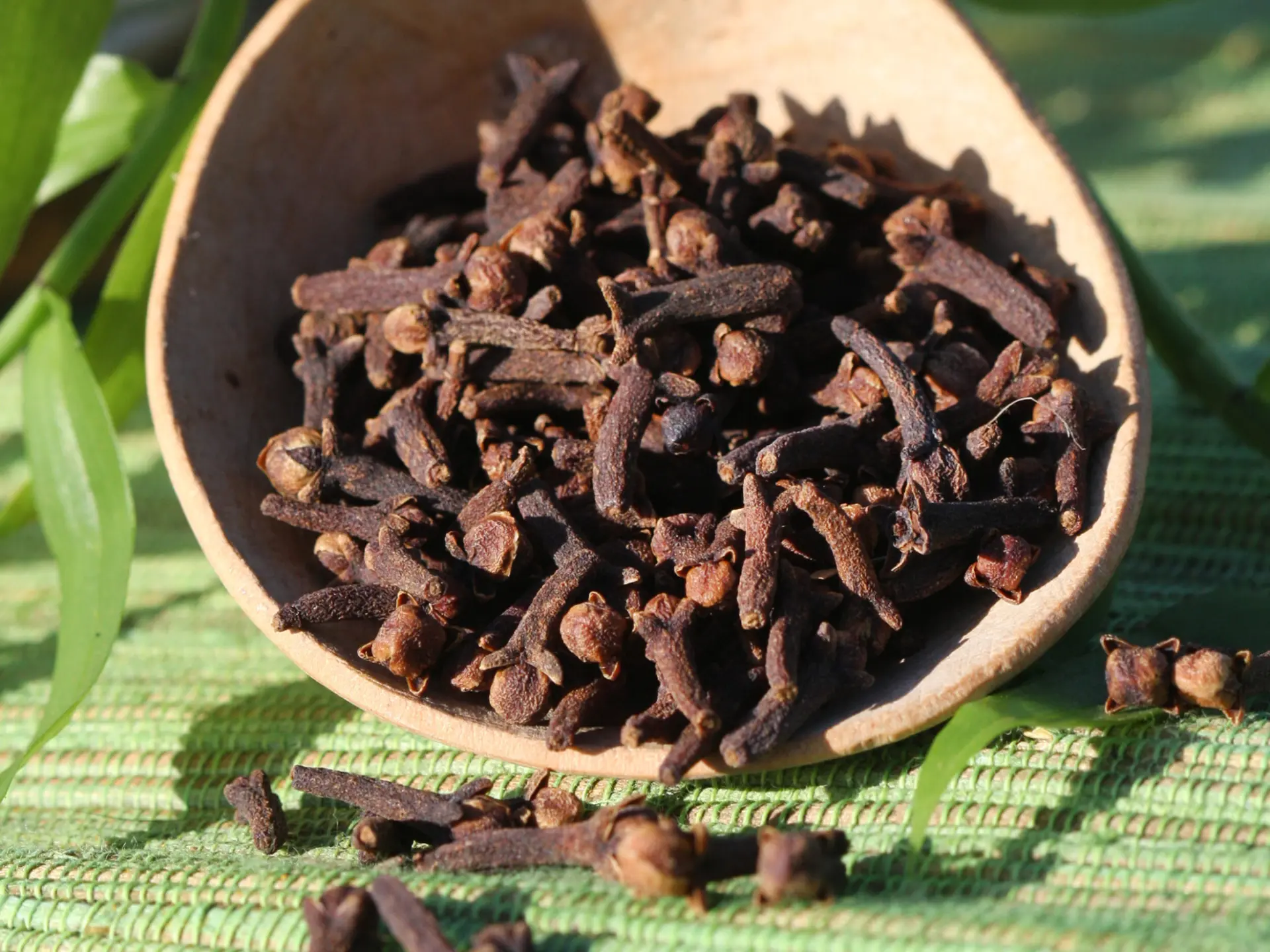 Clou de girofle Épice Martinique