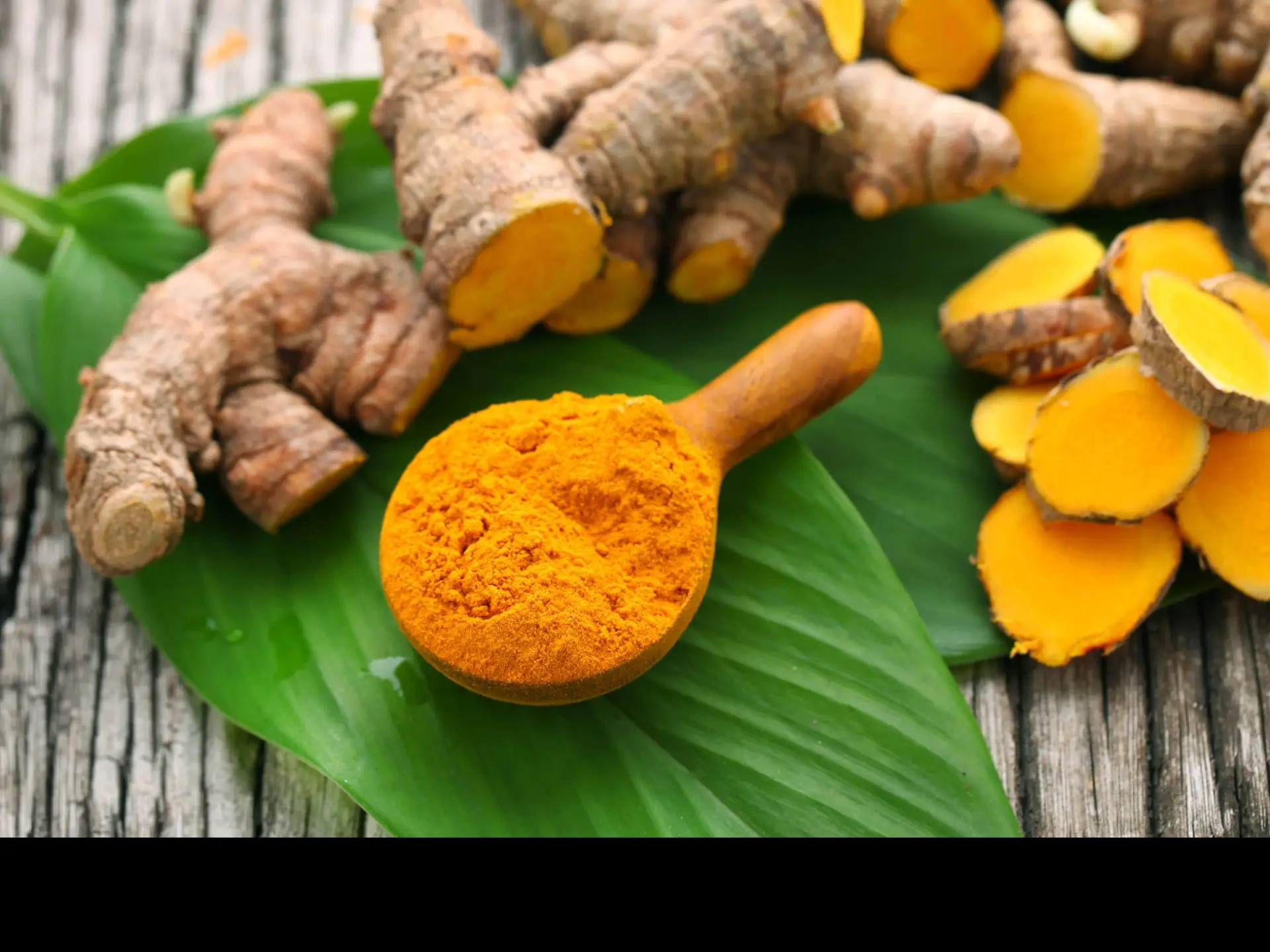 Curcuma Racine et poudre Épice Martinique