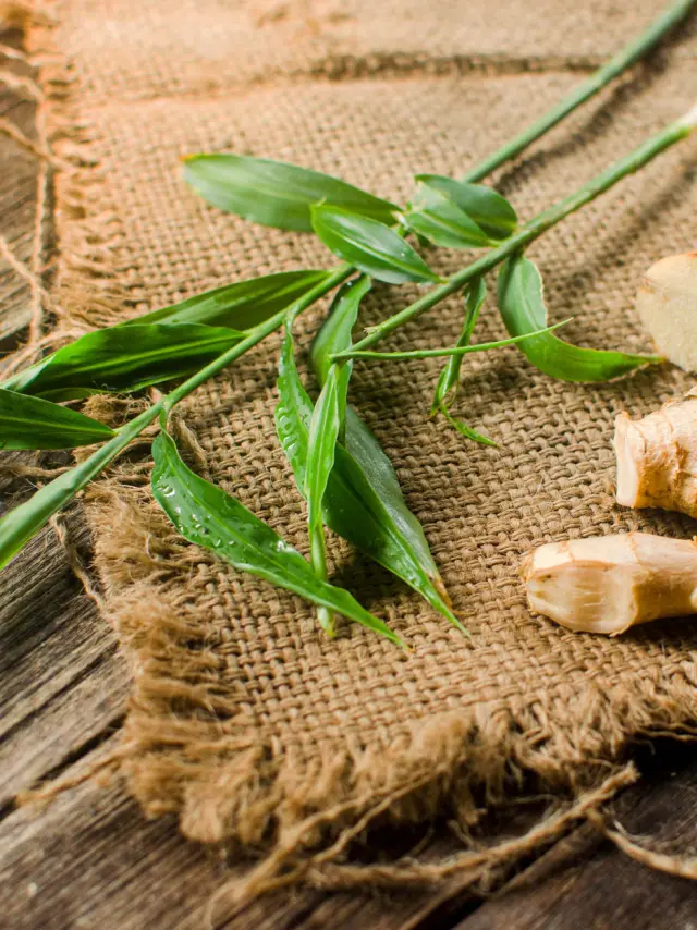 Gingembre Épice Martinique