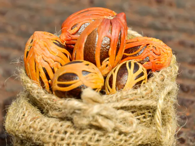 Noix de muscade Épice Martinique