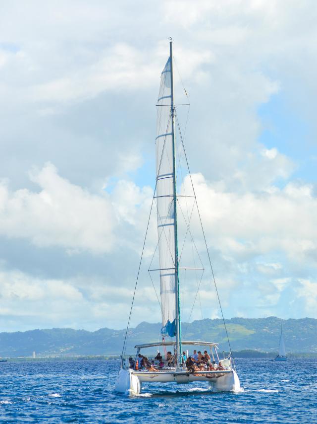 Créole Cata Catamaran Voile Martinique