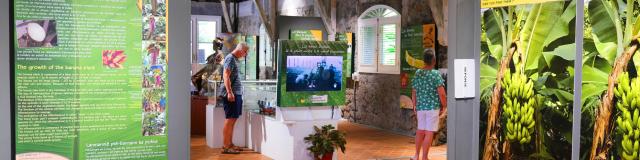 Musée de la banane Exposition Sainte-Marie Martinique