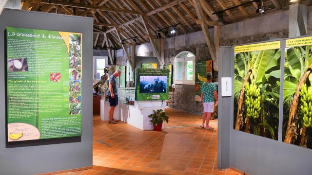 Banana Museum Exhibition Sainte-Marie Martinique