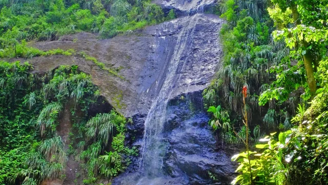 Cascade Couleuvre Prêcheur Martinique