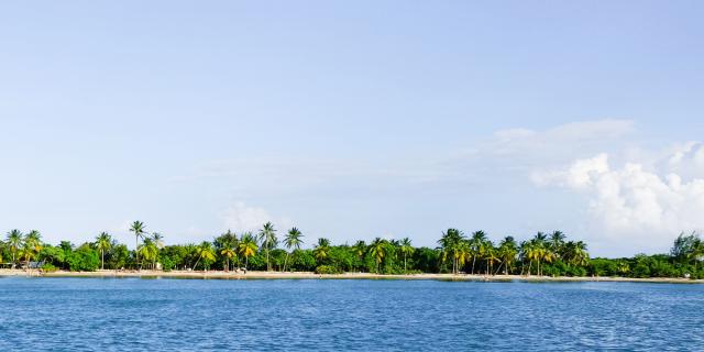 Plage des Salines Sainte-Anne Martinique