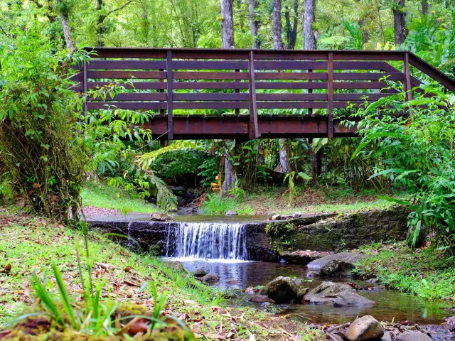 Pont Rivière Coeur Bouliki Saint-Joseph Martinique