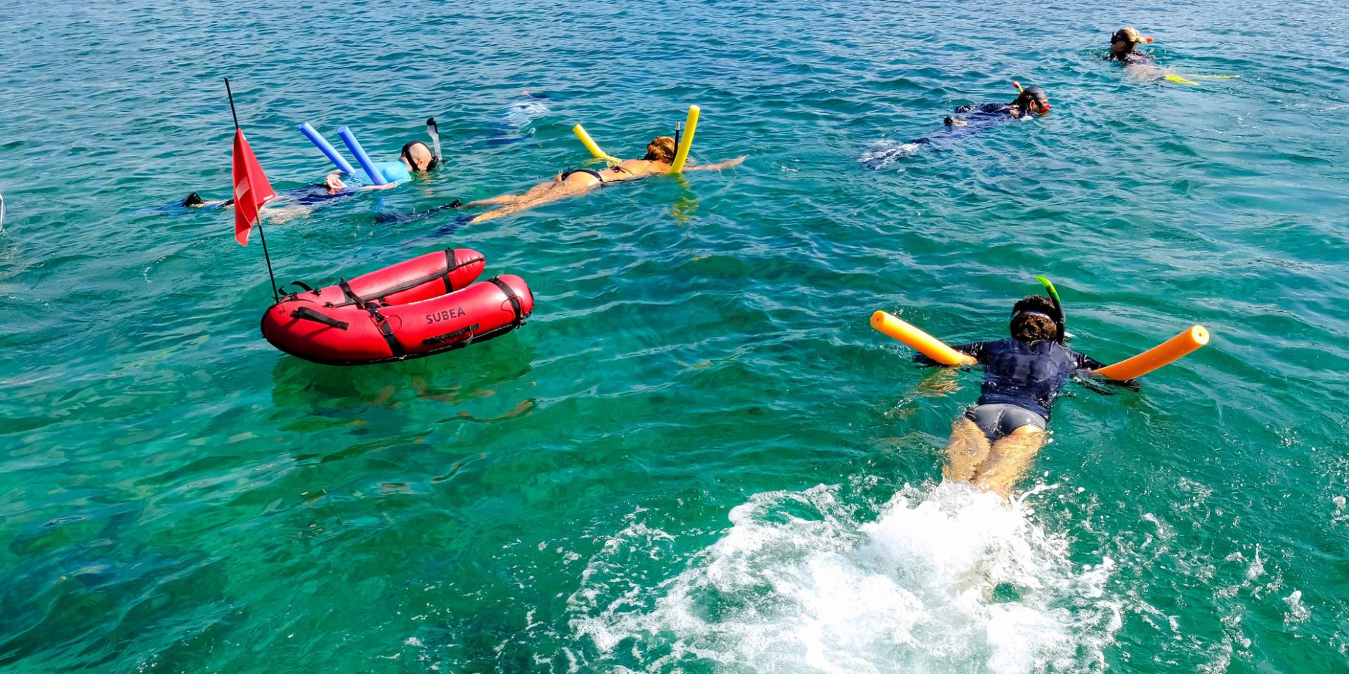 Snorkeling en Martinique avec Les Aquanautes