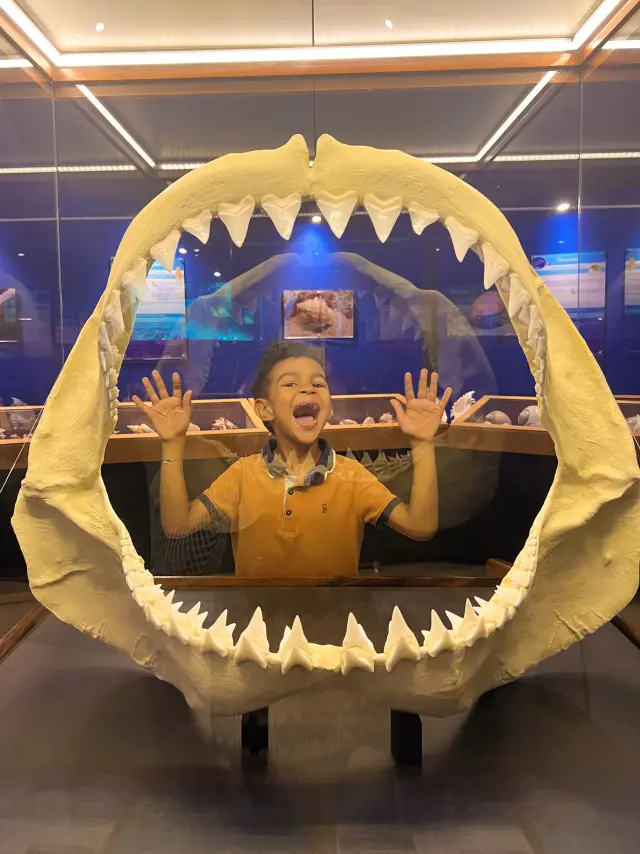 Museum of the sea Trois-Ilets Martinique