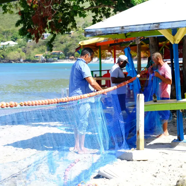 Maillage filet de pêche Plage de Grande Anse Anses-d'Arlet Martinique