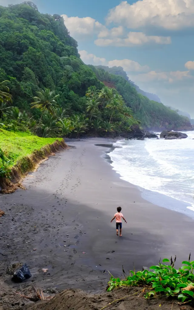 Plage de Sinaï Grand'Riviere Martinique