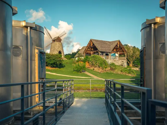 Distillery Trois-Rivieres Sainte-Luce Martinique