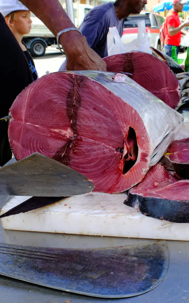 Fish market Tuna Bellefontaine Martinique