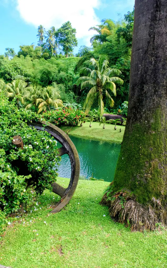 Jardin Distillerie JM Macouba Martinique