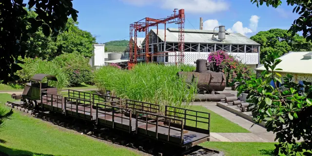 Jardin Train Habitation Clément François Martinique