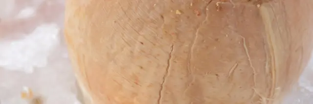 Sorbet Coco Recette Martinique