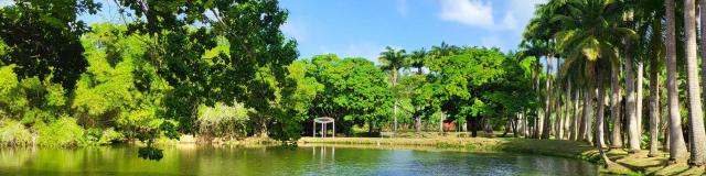 Bassin Jardin Habitation Clément François Martinique