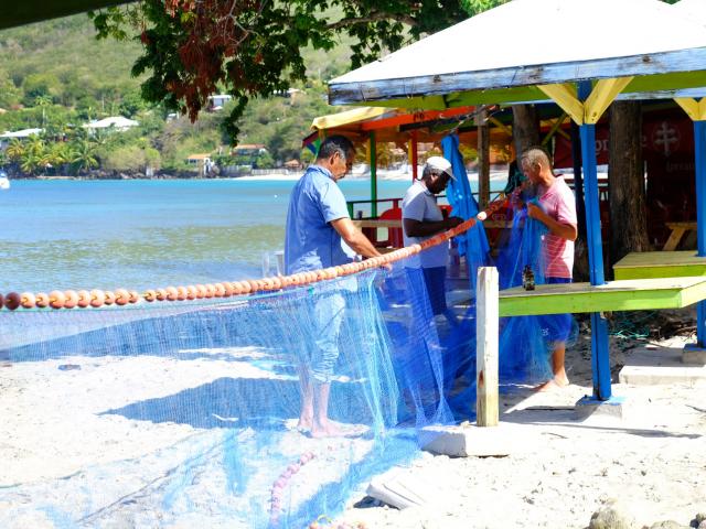Fishing net mesh size Grande Anse Anses d'Arlet Martinique