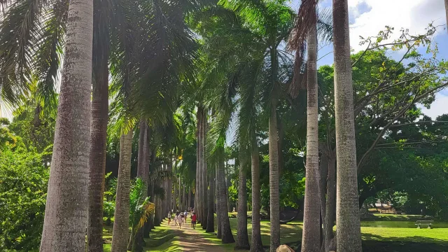 Visit Garden Habitation Clément Francois Martinique