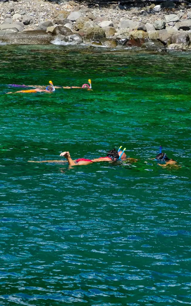 Snorkeling Fond Boucher Soley Mambo Kata Mambo Martinique