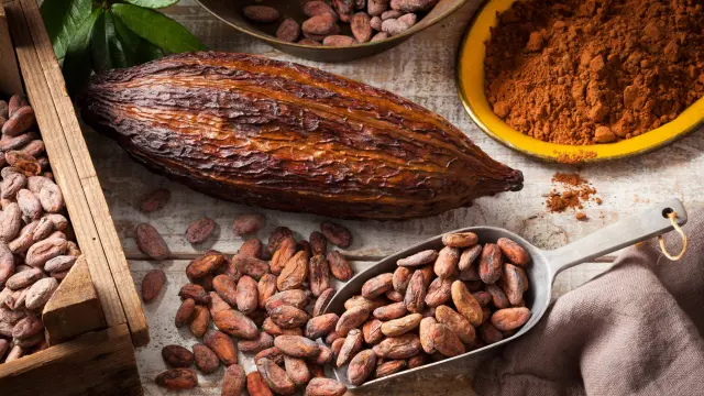cacao-cabosse-grain-chocolate-martinique