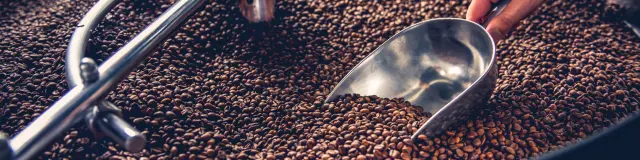 torrefaction-café-martinique