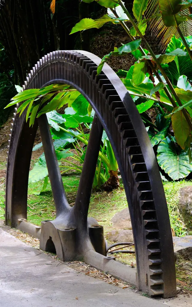 Remarkable garden2-Rhumery-House-Saint-Etienne-grosmorne-martinique