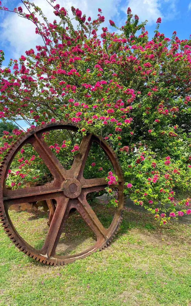 Jardin Rhumerie Plantation Trois Rivières Sainte-Luce Martinique