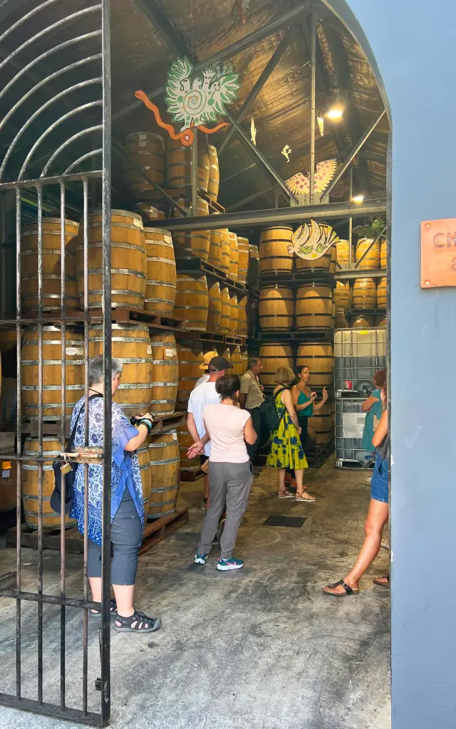 Chai-Rhumerie-HSE-Habitation-Saint-Etienne-grosmorne-martinique