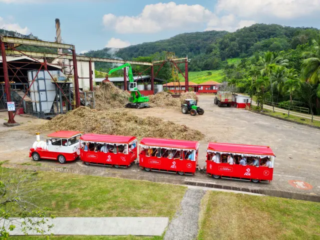 Visite en train Distillerie Maison La Mauny Rivière-Pilote Martinique
