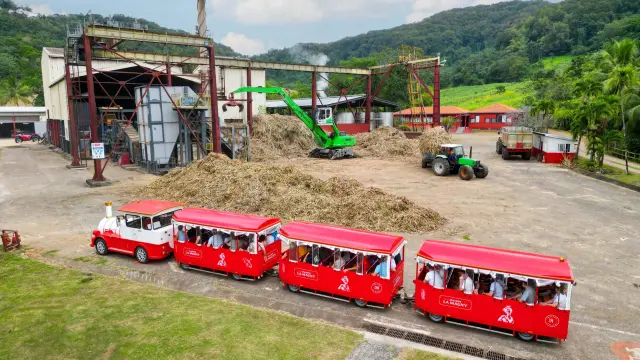 Visite en train Distillerie Maison La Mauny Rivière-Pilote Martinique
