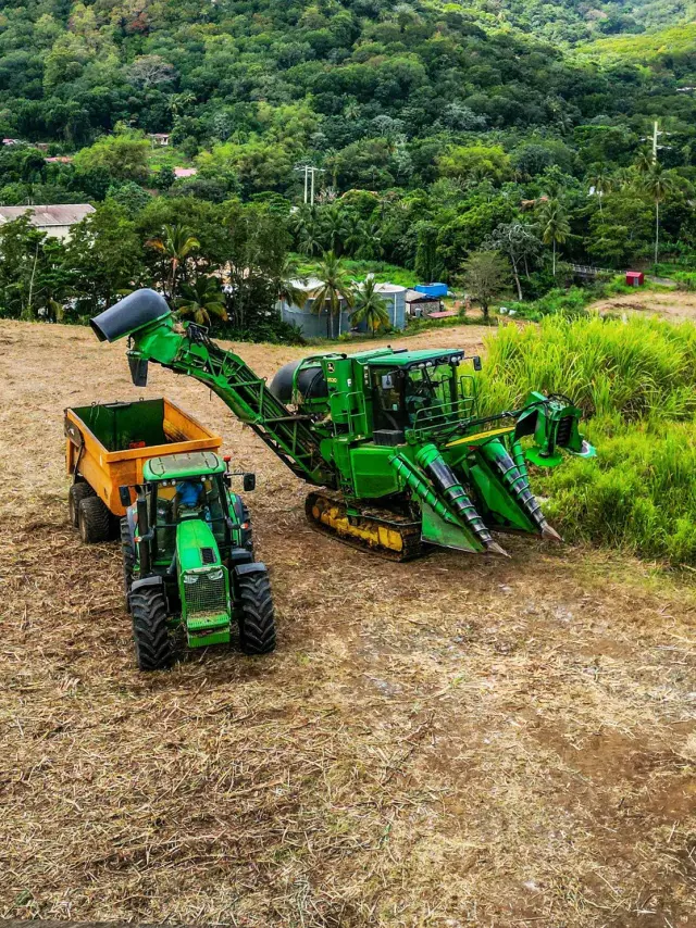 harvester2-sugar-cane-tractor-home-lamauny-riviere-martinique