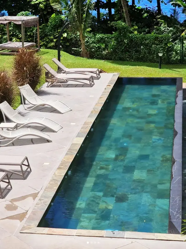 home-in-harvesting-snake-martinique