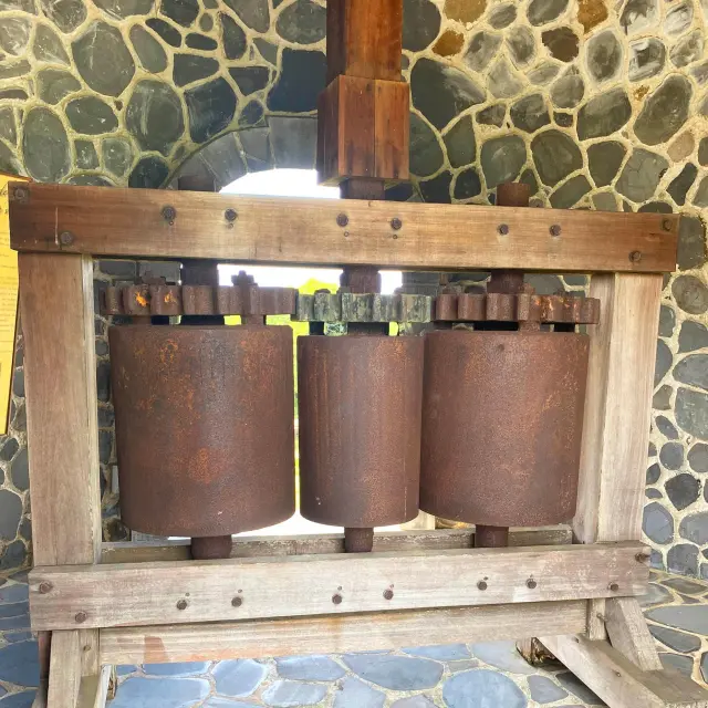 rhumerie10-troisrivères-sainteluce-martinique