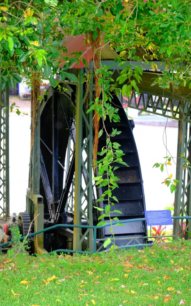 waterwheel2-distilleriedepaz-saintpierre-martinique