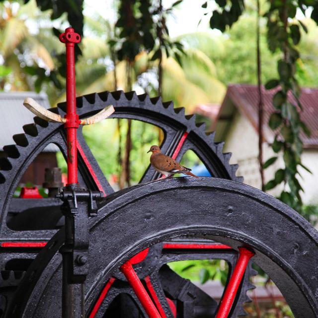 Distillerie Depaz Saint-Pierre Martinique