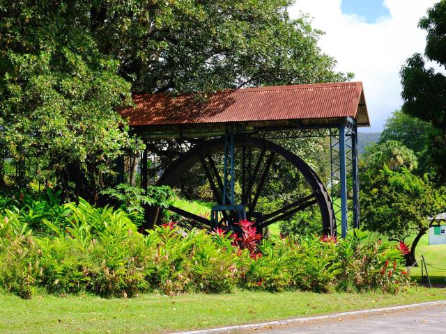 Roue à eau Distillerie Depaz Saint-Pierre Martinique