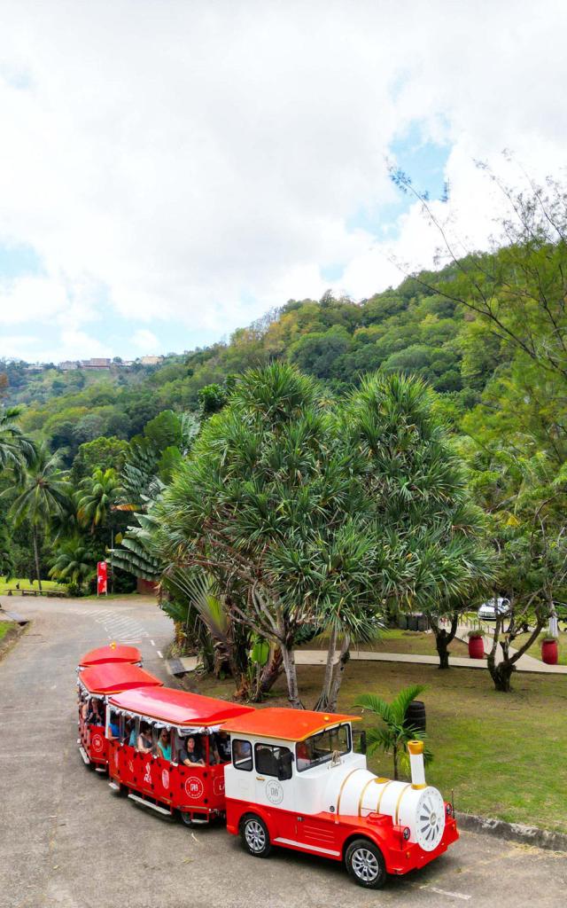 Visite en train Distillerie Maison La Mauny Rivière-Pilote Martinique