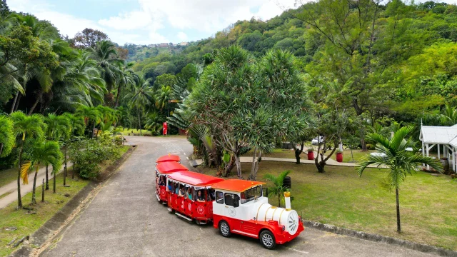 Visite en train Distillerie Maison La Mauny Rivière-Pilote Martinique